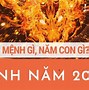 Năm 2024 Là Rồng Mệnh Gì