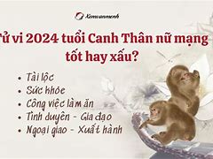 Tử Vi Tuổi Thân 1980 Nữ Mạng Năm 2024